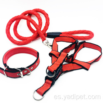 Collar trenzado martingala para perros de servicio